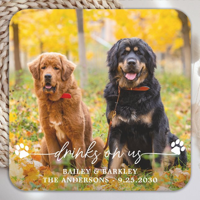 Drinks On Us Open Bar Dog Photo Pet Wedding  Square Paper Coaster (Creator Uploaded)