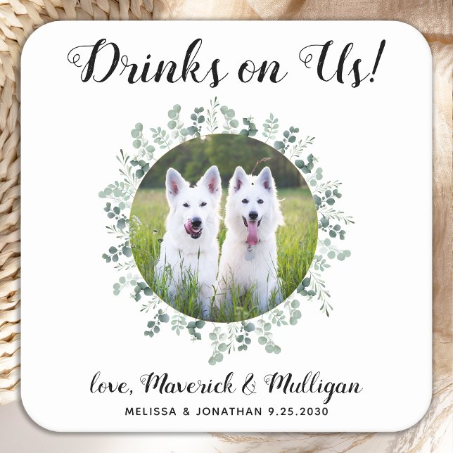 Drinks On Us Open Bar Eucalyptus Photo Pet Wedding Square Paper Coaster (Creator Uploaded)