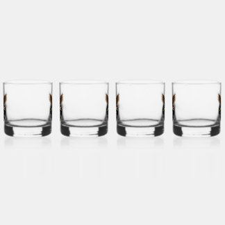 Drinkware Set Whiskey Glass