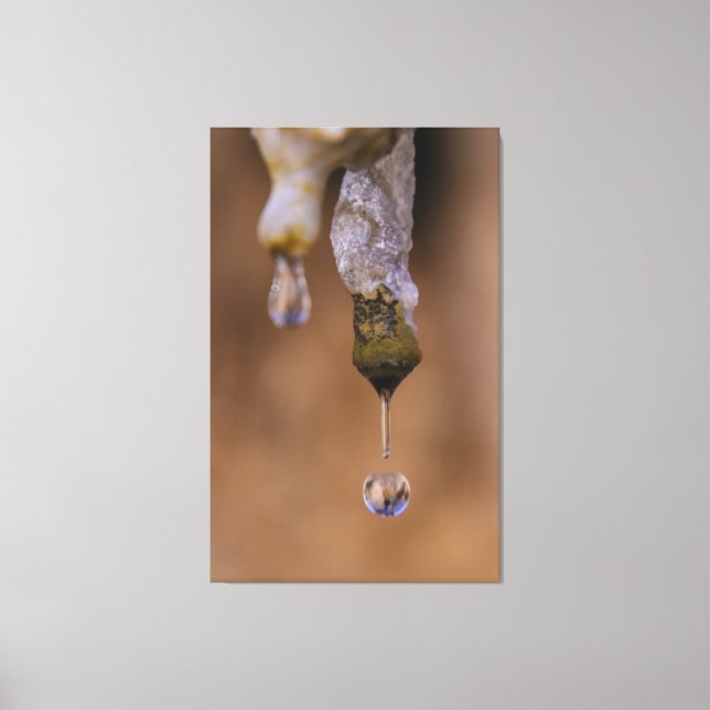 drip drop canvas print (Front)