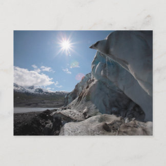 Dripping In the Sun Postcard