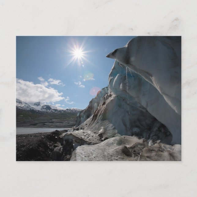 Dripping In the Sun Postcard (Front)