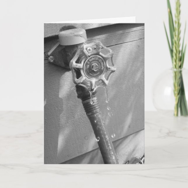 "Drippy Garden Hose" Birthday Card (Front)