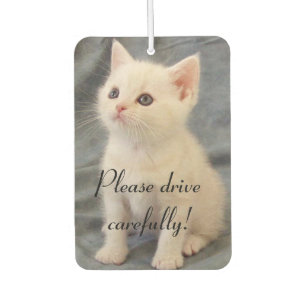 Drive Carefully Kitten Car Air Freshener