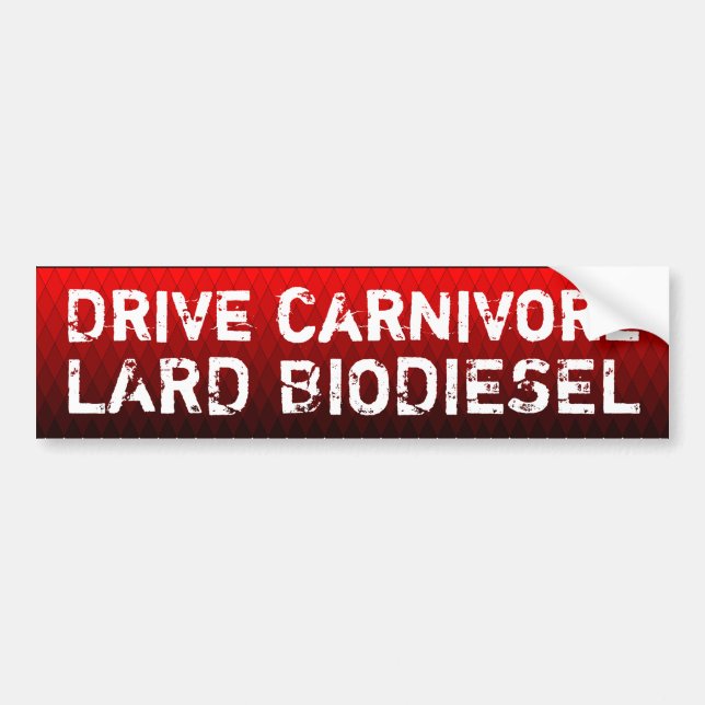 Drive carnivore, lard biodiesel bumper sticker (Front)