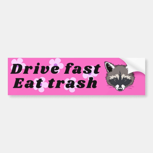 Drive fast eat trash racoon decal bumper sticker (Front)