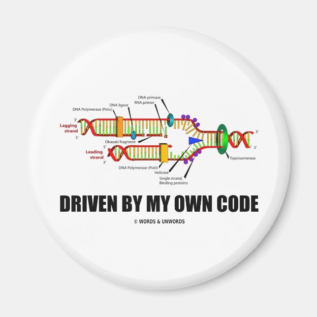 Driven By My Own Code (DNA Replication) Magnet (Front)