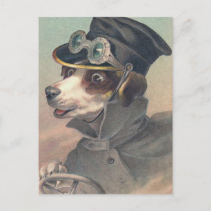 Driver Dog Vintage Illustration Postcard