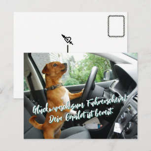 Driver's License Passed Congratulations Postcard