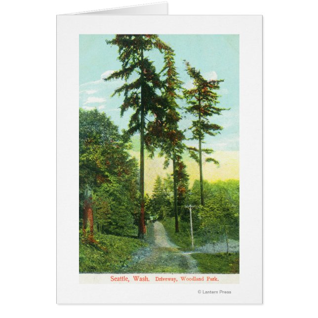 Driveway View at Woodland Park (Front)