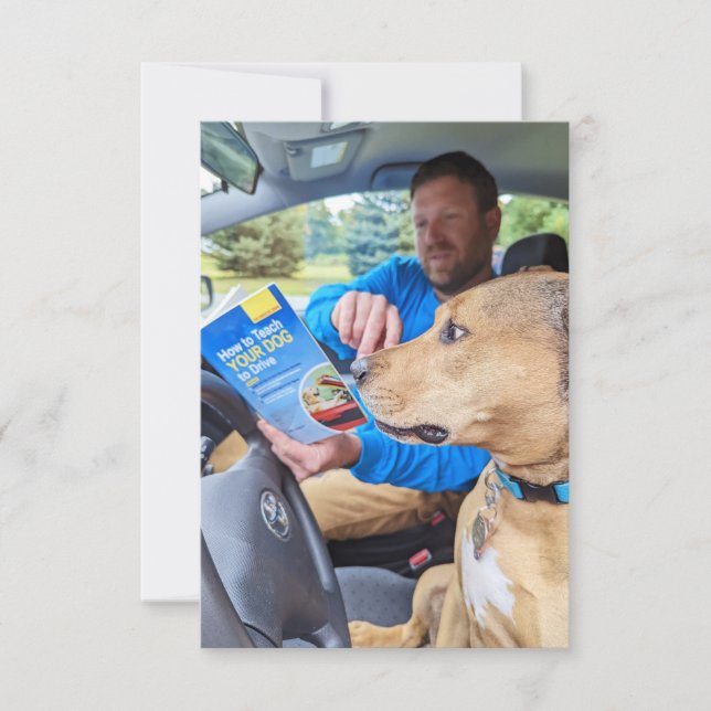 Driving car book Funny Dog Photo Card (Front)