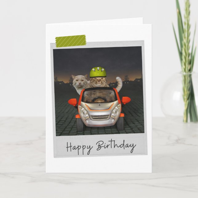 Driving Cats Funny Birthday Card (Front)