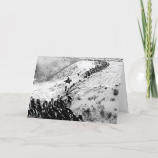 Driving cattle in the winter. card