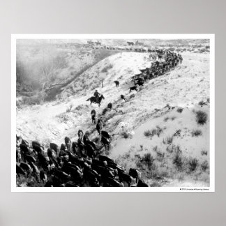 Driving cattle in the winter. poster