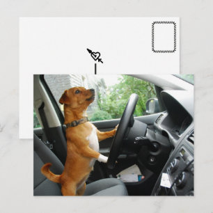 Driving License Congratulation card