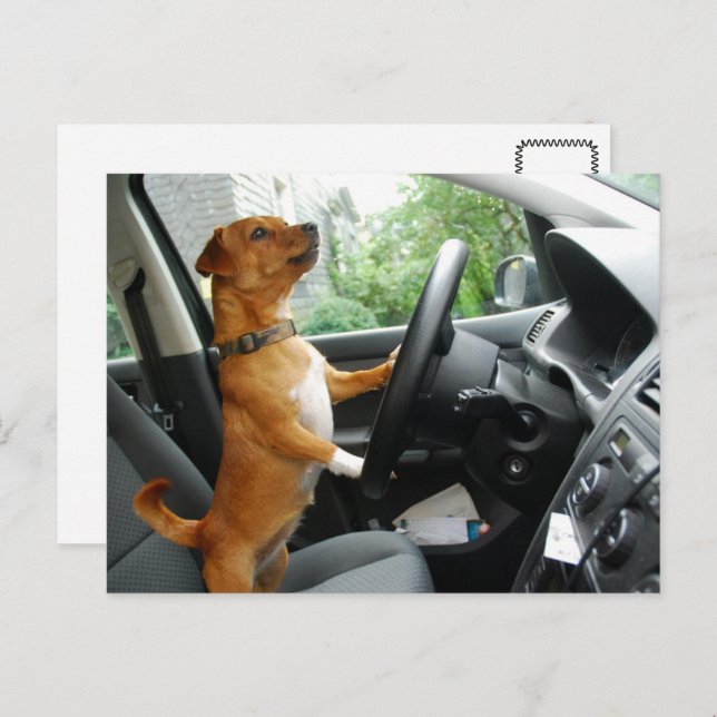 Driving License Congratulation card  (Front/Back)