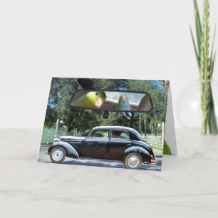 Driving Miss Daisy Parrotlet bird greeting card