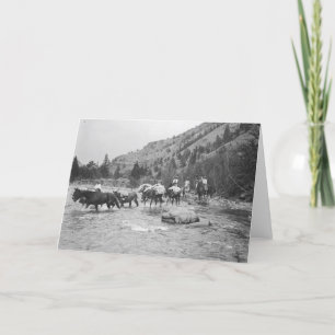 Driving pack mules across a river card