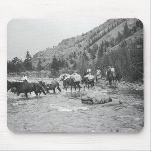 Driving pack mules across a river mouse pad