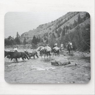 Driving pack mules across a river mouse pad