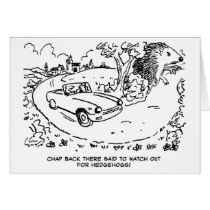 Driving Sports Car in Countryside with Hedgehog