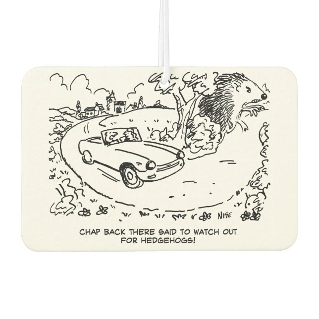 Driving Sports Car in Countryside with Hedgehog Air Freshener (Front)