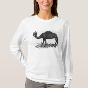 Dromedary, from 'Historial Animalium' T-Shirt