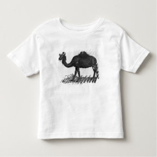 Dromedary, from 'Historial Animalium' Toddler T-Shirt