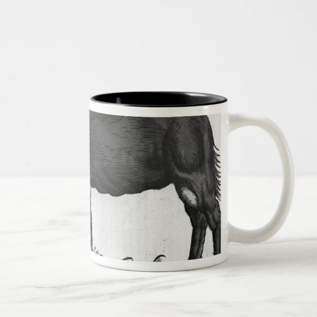 Dromedary, from 'Historial Animalium' Two-Tone Coffee Mug (Right)