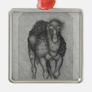 Dromedary, from the The Vallardi Album Metal Tree Decoration