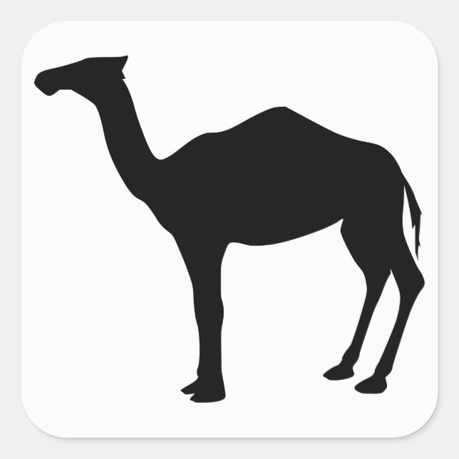 Dromedary Silhouette Square Sticker (Front)