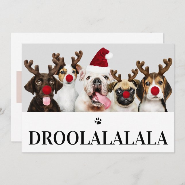 Droolalala Dog Christmas 5 Photo Card (Front/Back)