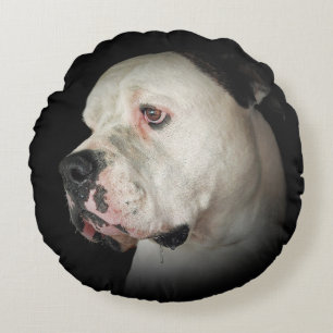 drooling American Bull Dog Round Cushion
