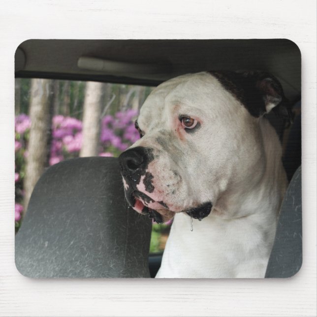 drooling American Bulldog Mouse Pad (Front)