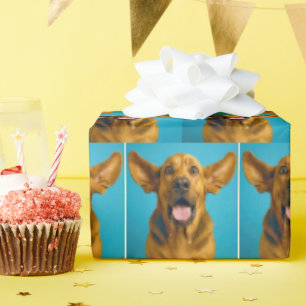 Drooling Bloodhound With Surprised Expression Wrapping Paper