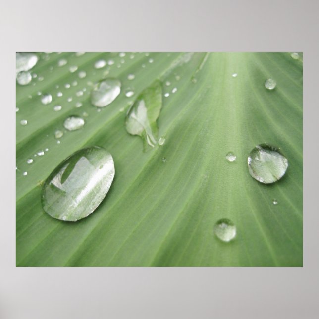 Drop by Drop Poster (Front)