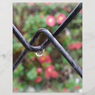 Drop of rain