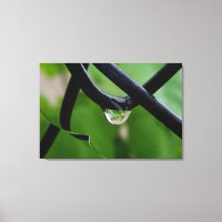 Drop of rain