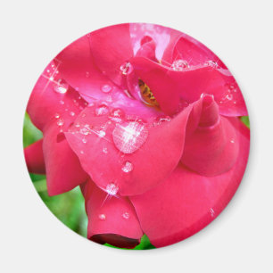 Droplets on Petals Fridge Magnet