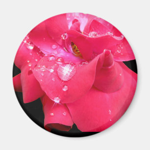 Droplets on petals Magnet