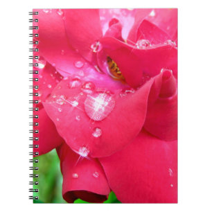 Droplets on Petals Photo Notebook