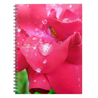Droplets on Petals Photo Notebook