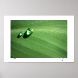 droplets poster