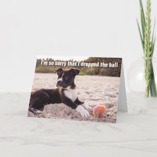 Dropped The Ball, Belated Birthday - Card