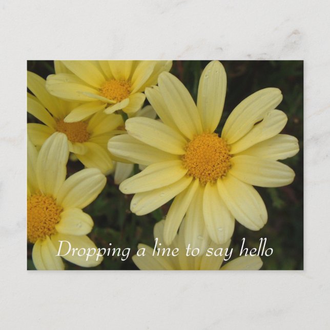 Dropping a line to say hello postcard (Front)