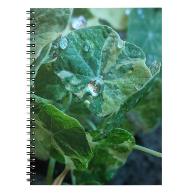 Drops of Nature Notebook (Front)
