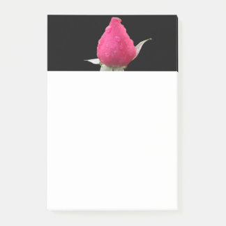 Drops on a Petal Post-it Notes