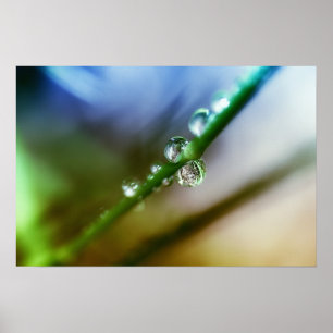 Drops Poster