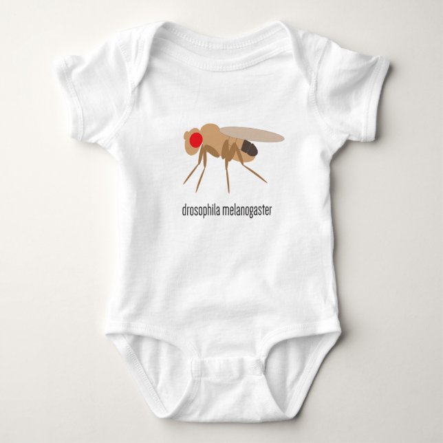 Drosophila Baby Bodysuit (Front)
