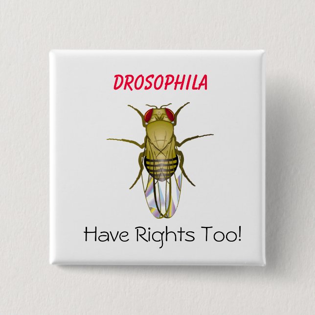 DROSOPHILA, Drosophila , Have Righ... - Customised 15 Cm Square Badge (Front)